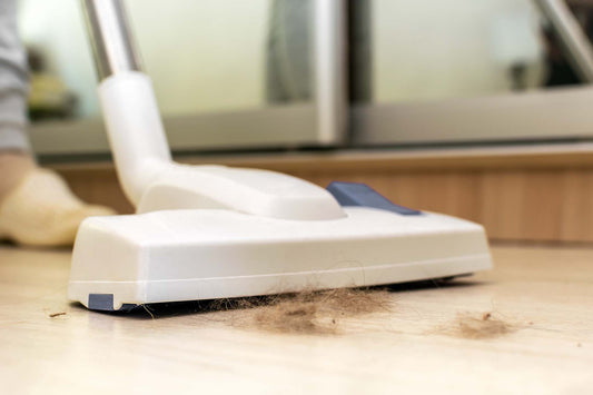 a person vacuuming dust mites in home