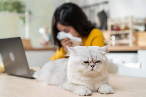 a woman suffering from cat allergies