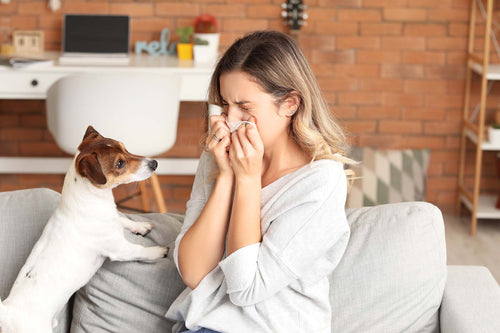 a woman suffering from dog allergies