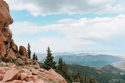 When is Allergy Season in Colorado? Start, Peak, and End (2025)