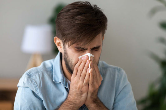 what is allergic rhinitis